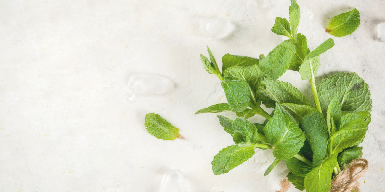 menta