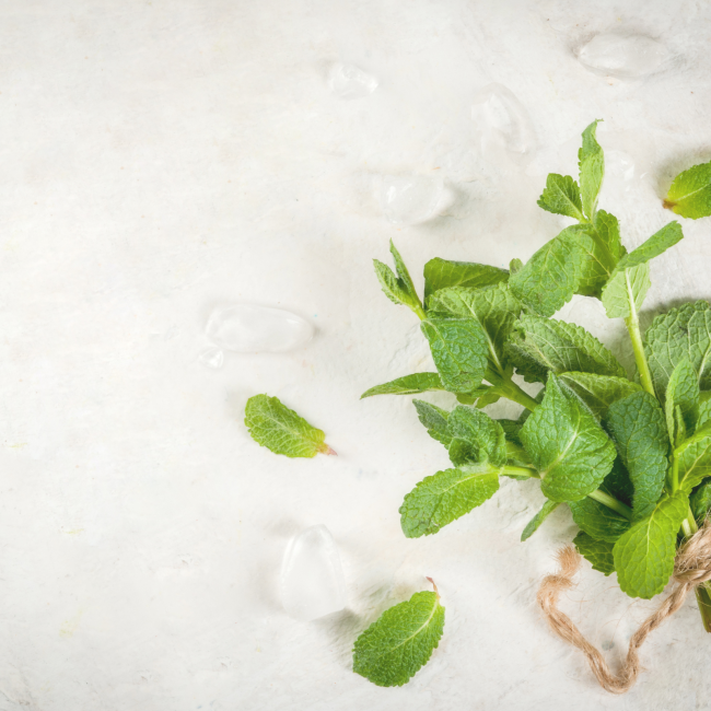 menta