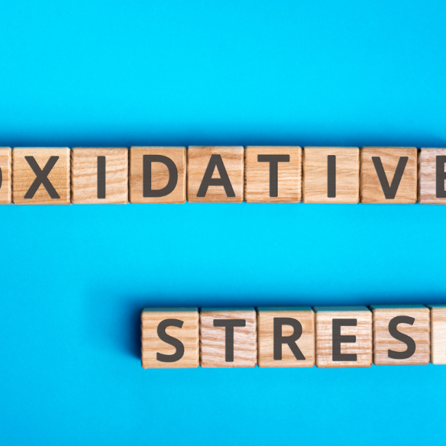 ti einai to oxidotiko stress