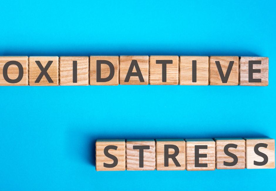 ti einai to oxidotiko stress
